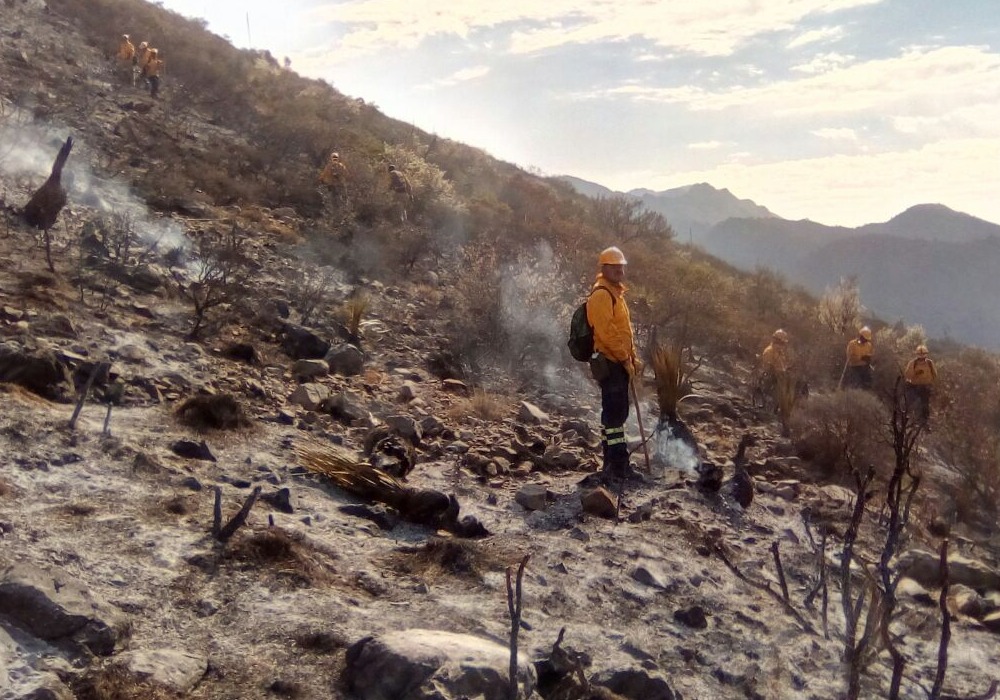 Incendio forestal en Coahuila consume centenares de hectáreas